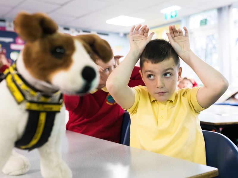 A child attends a Dogs Trust education workshop