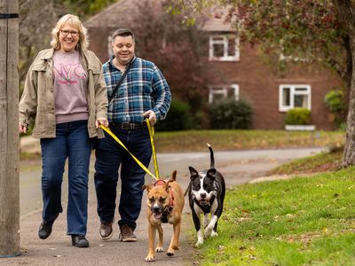 Happy Staffy place: JoJo and Tip find friendship and their forever