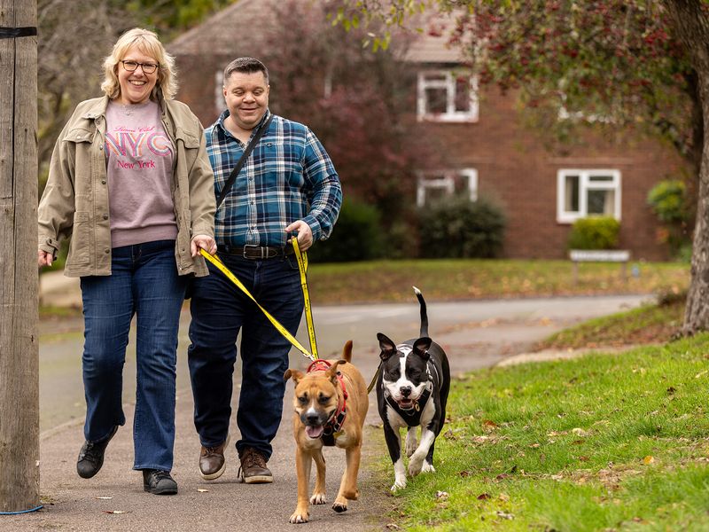Tip and Jojo enjoy a walk with owners Ann-Marie and Grant