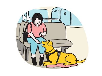 Illustration of owner giving dog treat with dog sitting on bus on floor.