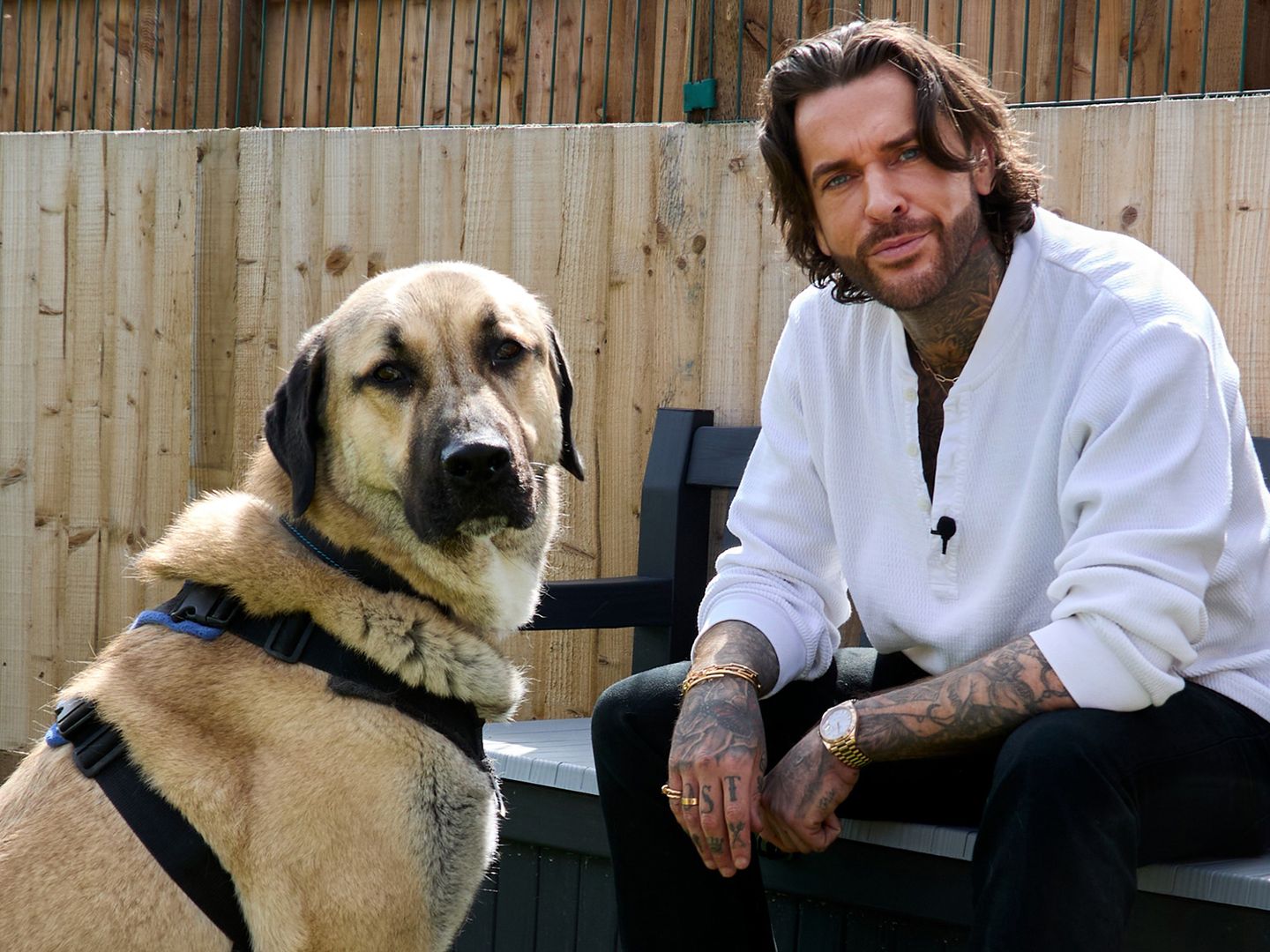 Pete Wicks sits next to Hank, a large dog who has spent a very long time in kennels.