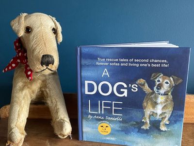 A Dog's Life, a book from The Little Dog Laughed in partnership with Dogs Trust.