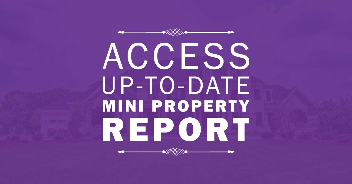 Mini-Property Report